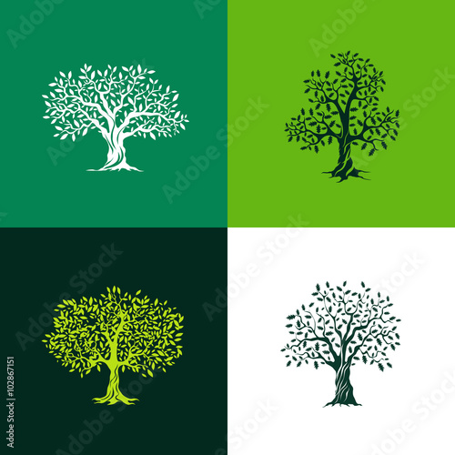 Beautiful oak and olive trees silhouette set on green background. Infographic modern isolated vector sign. Premium quality illustration logo design concept.