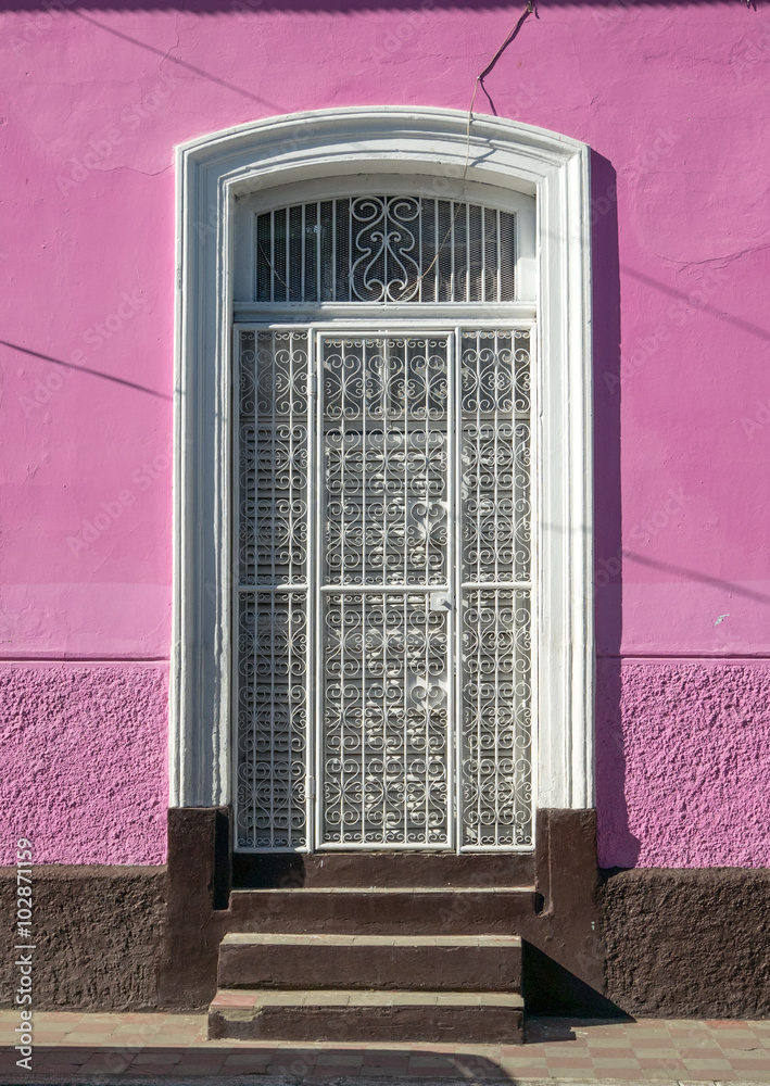 Naklejka premium Entrance Door in Granada