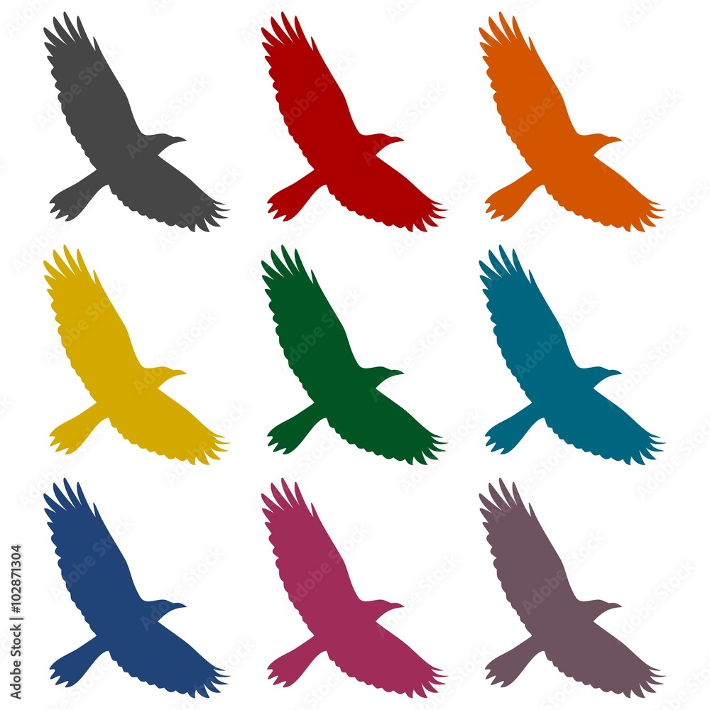 Obraz premium Crow icons set