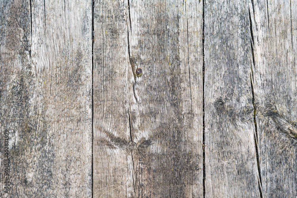 Fototapeta premium Aged weathered antique wooden board with knots for background