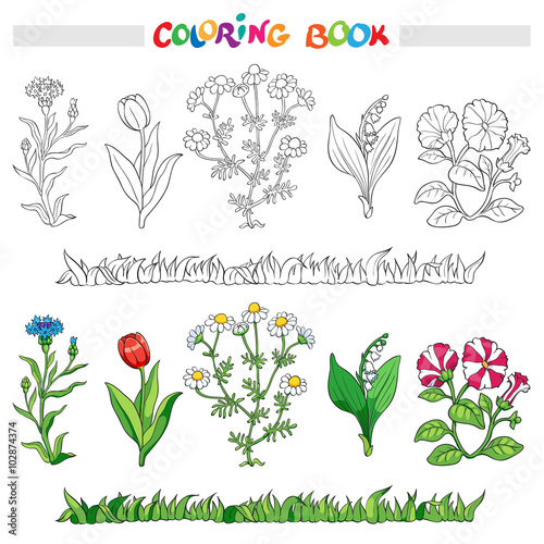 Coloring book or page with flower cornflower, daisy, tulip, lily of the valley, and petunia.. Vector illustration.
