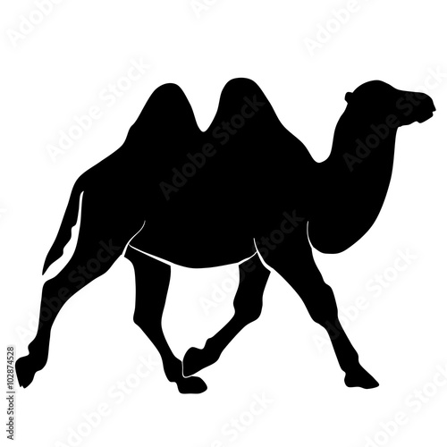 camel silhouette