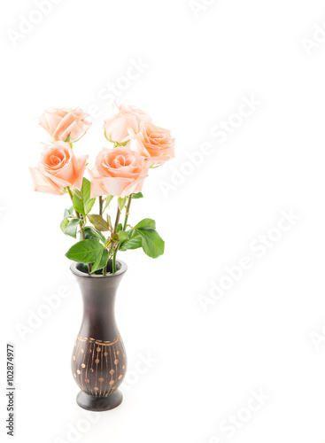 Wallpaper Mural Coral rose Torontodigital.ca