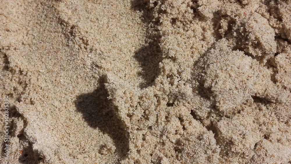 Female Hands in Beach Sand Female Hands in Beach Sand