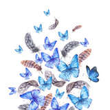 Watercolor greeting card with feathers and blue butterflies
