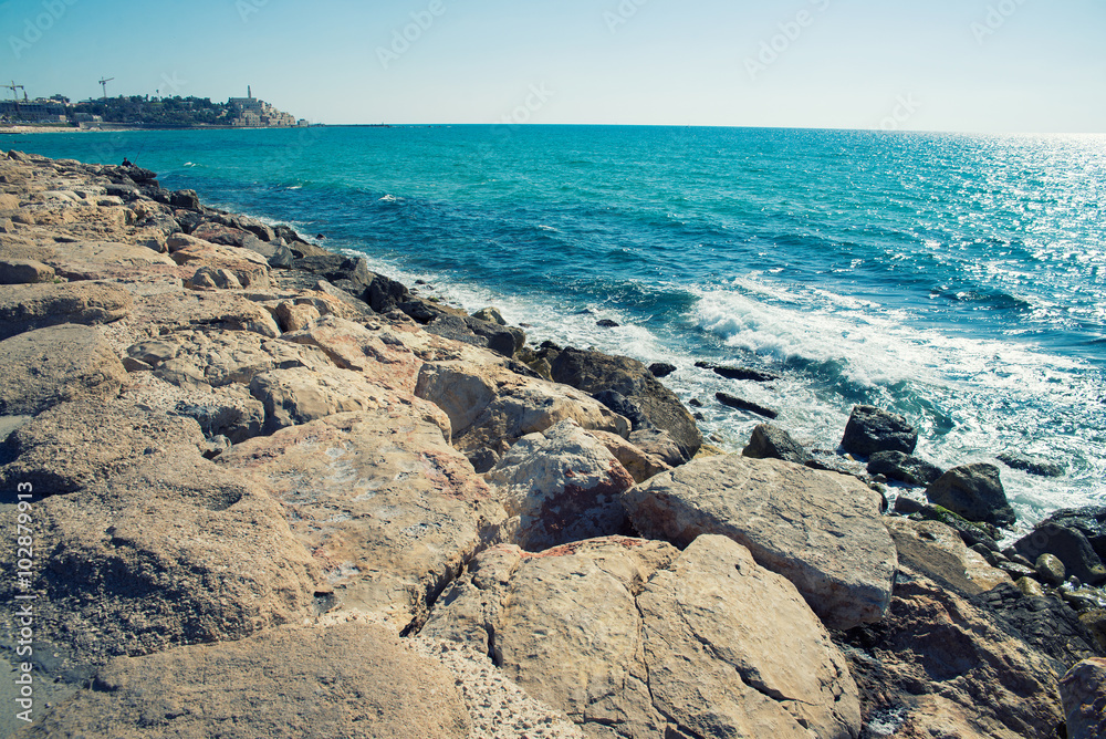 sea sea