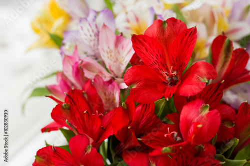 Alstroemeria bouquet. Close up. Natural spring background. 