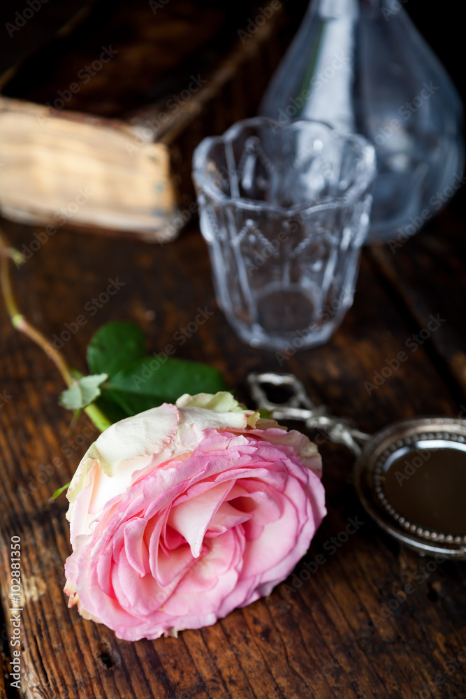 Stillleben mit Rose und altem Buch Stillleben mit Rose und altem Buch