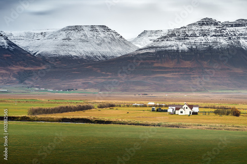 White barn in yellow field with snow mountain range background autumn season Iceland