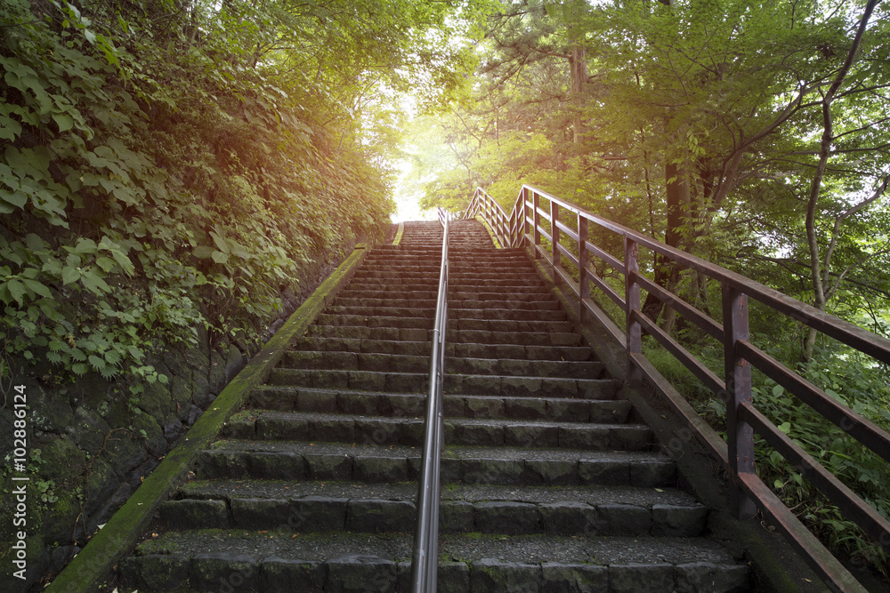 Obraz premium stairs going up to the light