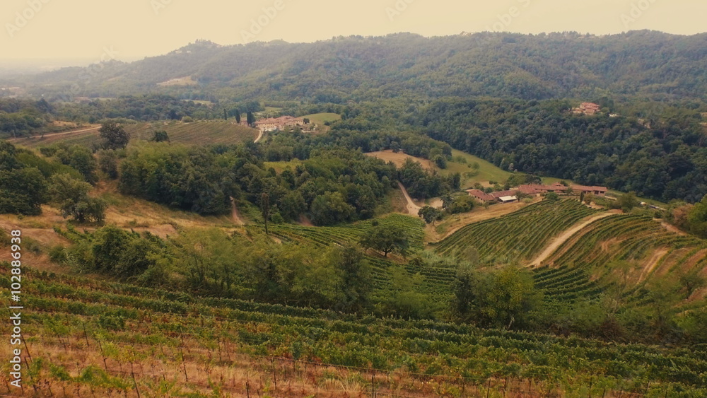 Aerial view of valley and vineyards in summer Aerial view of valley and vineyards in summer