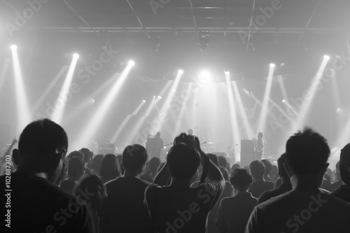 Music concert crowds illuminated from stage lights (very shallow depth of field)