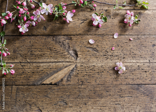 Fototapeta Naklejka Na Ścianę i Meble -  apple flowers on wooden background