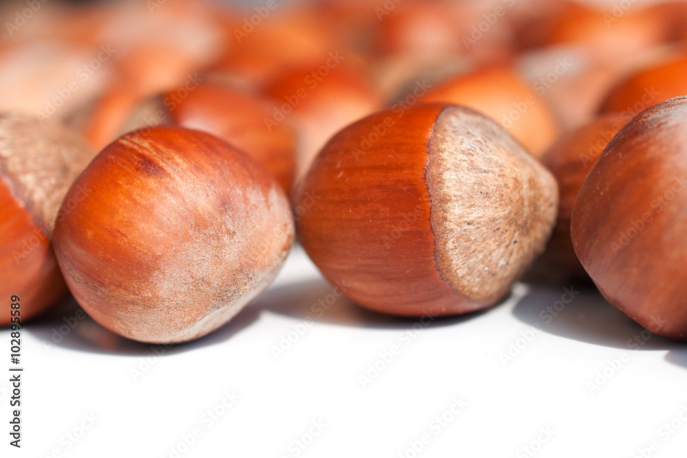 Hazelnuts close up Hazelnuts close up