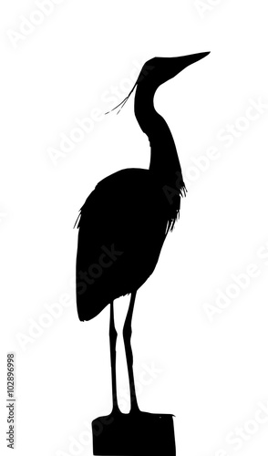 heron 