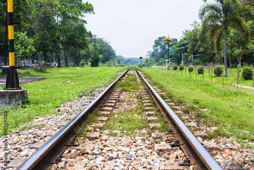 Straight railroad via meadows