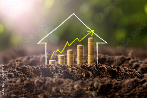 Money growing in soil with house , success concept.