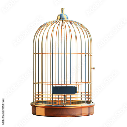 Fotografie, Tablou Empty gilded cage isolated