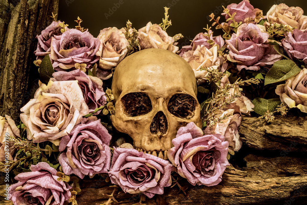 Naklejka premium still life human skull with roses background
