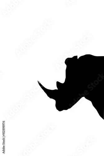 rhino's head 