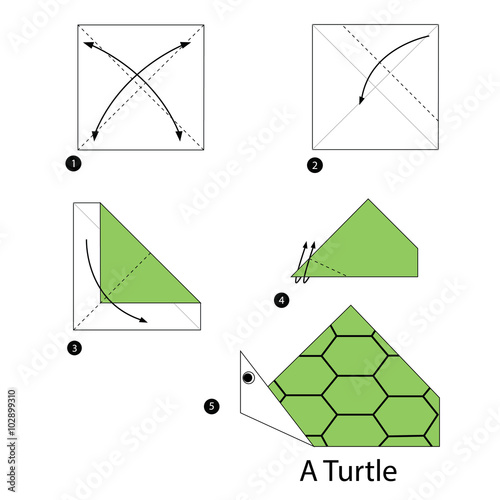 step by step instructions how to make origami turtle.