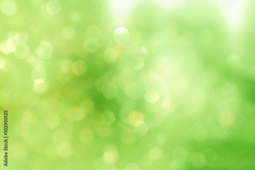 Green blurred background and sunlight