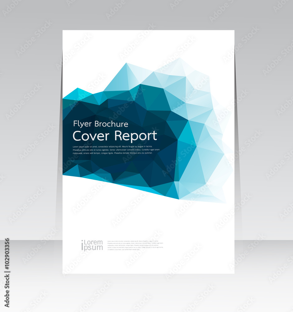 Fototapeta premium Vector design for Cover Report Annual Flyer Poster in A4 size