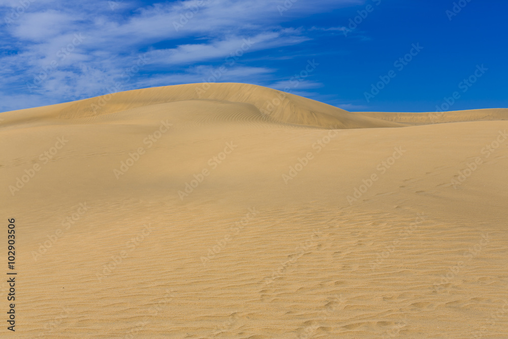 Maspalomas Duna - Desert in Canary island Gran Canaria Maspalomas Duna - Desert in Canary island Gran Canaria