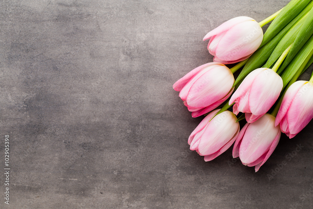 Tulip on the grey background. Tulip on the grey background.