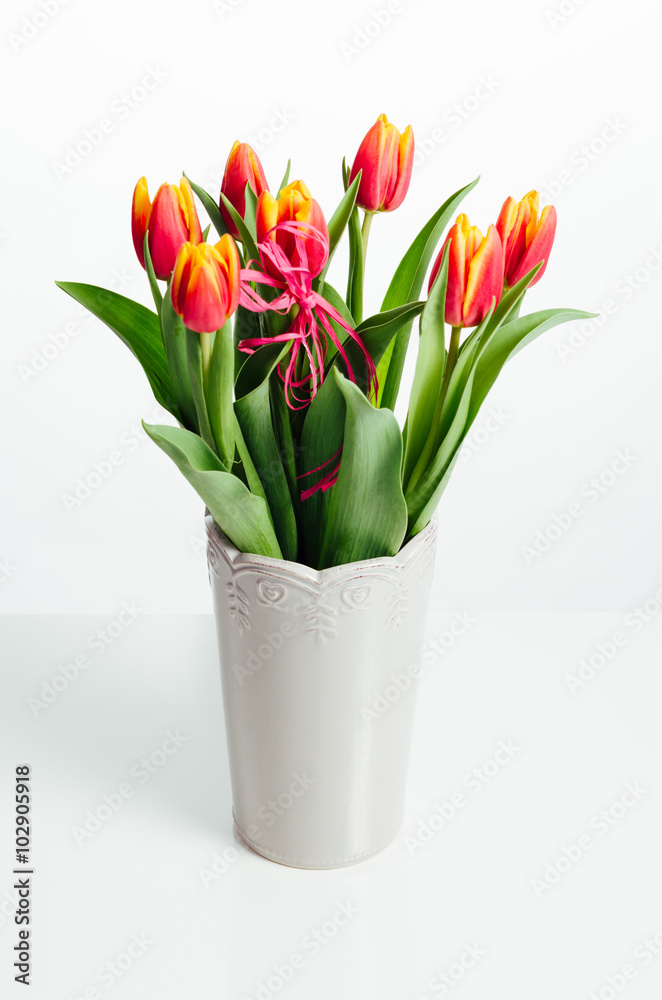 tulips in a vase on a white background tulips in a vase on a white background