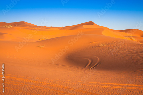 Sand dunes in the Sahara Desert  Merzouga  Morocco