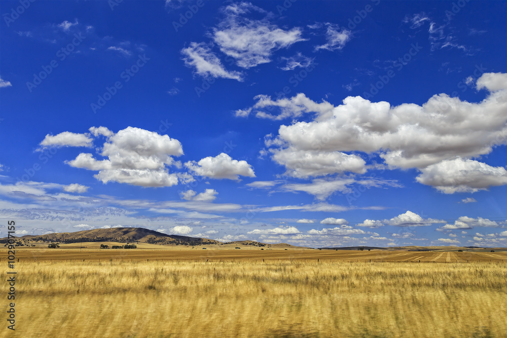 SA Agriculture Plains Day sky