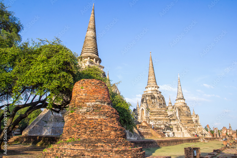 Fototapeta premium Tourist travel to visit Wat Phrasisanpetch in the Ayutthaya Historical Park, Ayutthaya, Thailand.