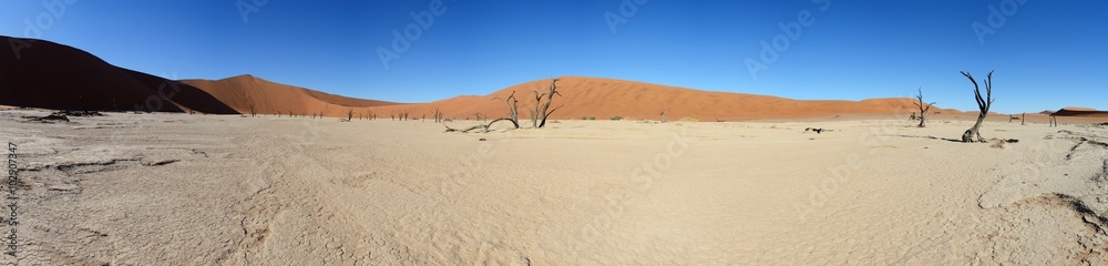 Dead Vlei, Sossusvlei, Namibia Dead Vlei, Sossusvlei, Namibia