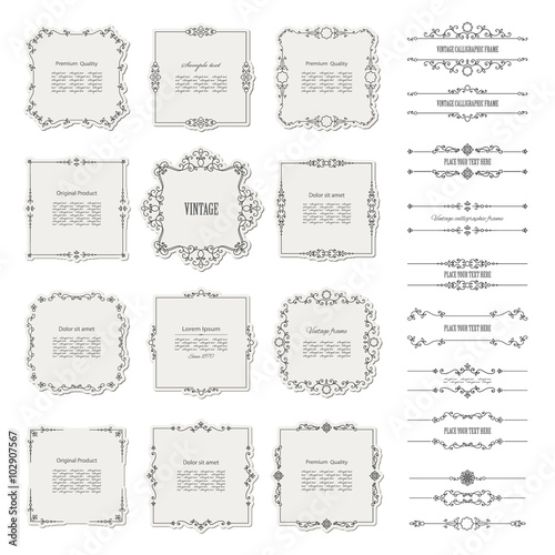 Vintage calligraphic frames and borders set isolated on white.