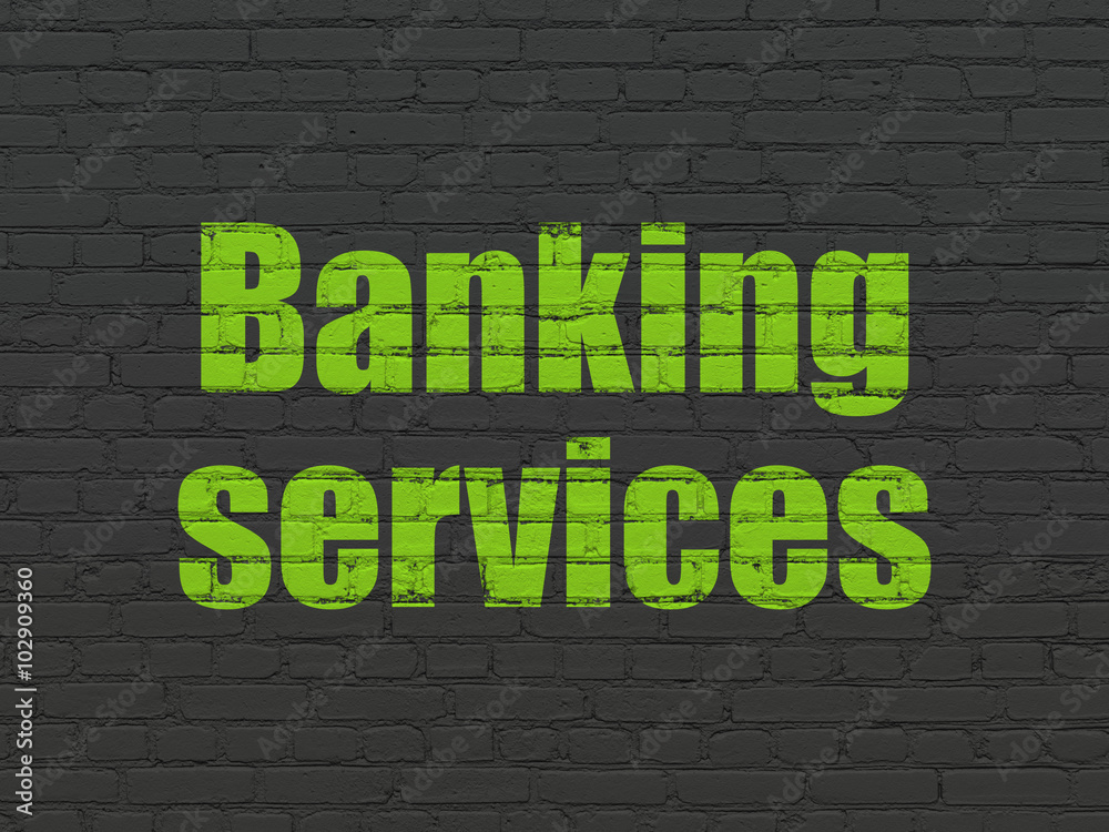 Fototapeta premium Money concept: Banking Services on wall background