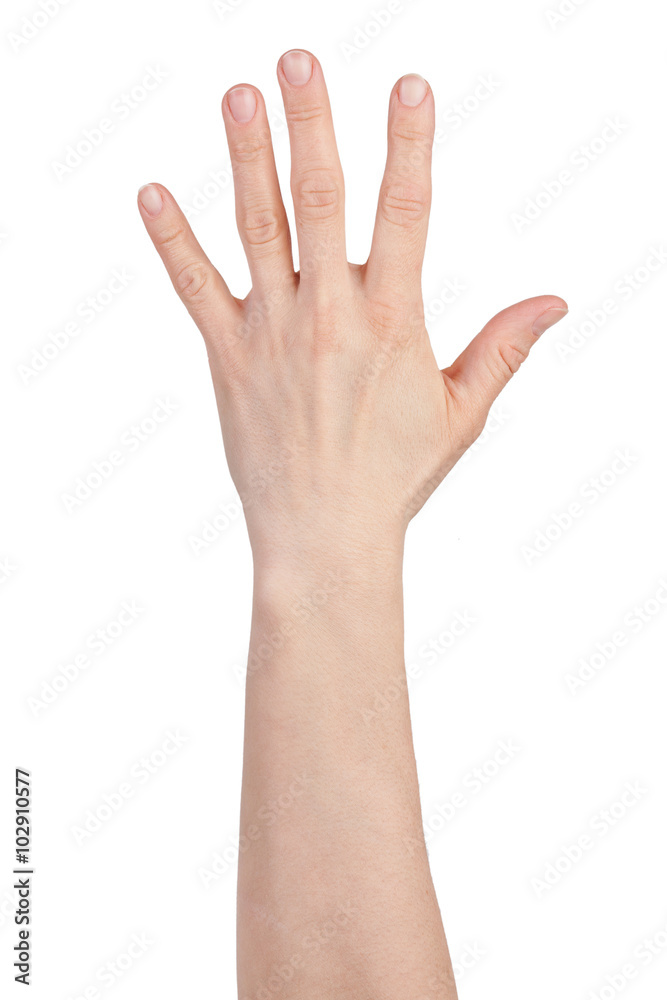 Palm with fingers spread Palm with fingers spread