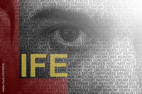 Closeup of a human eye with text overlay containing words describing life