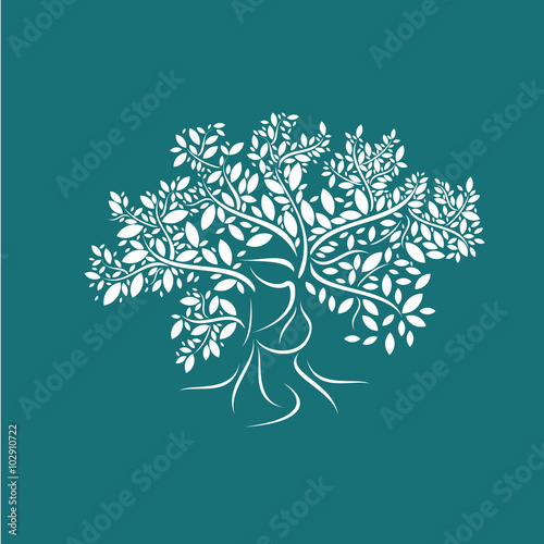 arbre,graphisme