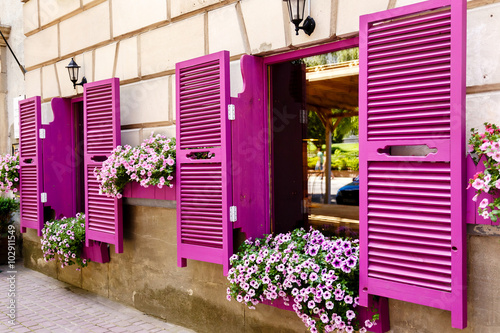 Fototapeta Naklejka Na Ścianę i Meble -  Pink shutters and petunia flowers on window