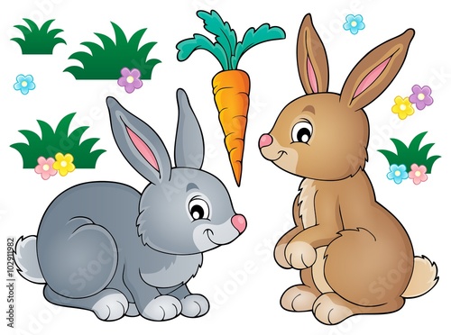 Rabbit topic image 1
