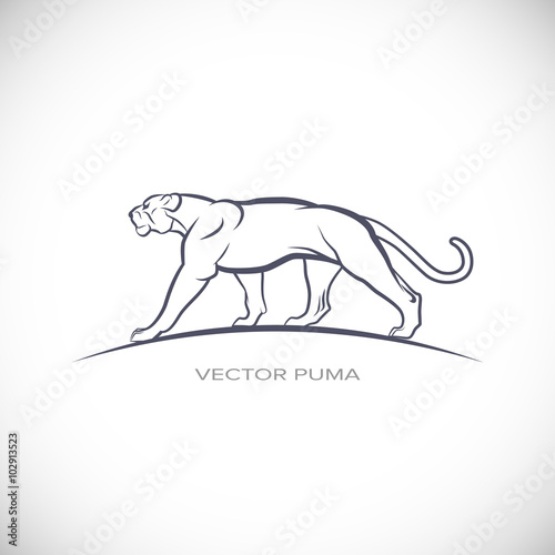 vector label with a picture of cougar