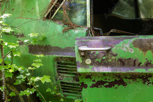 Fotografie Door on Green Mustang