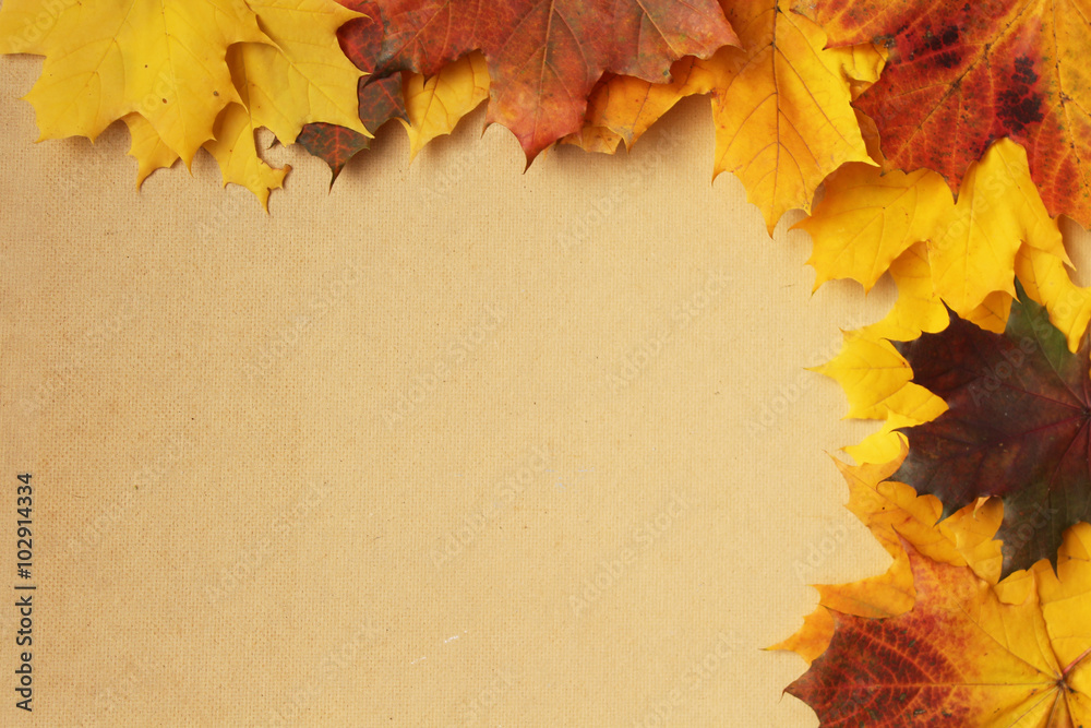 Beautiful colorful frame of autumn leaves - border design with copy space 