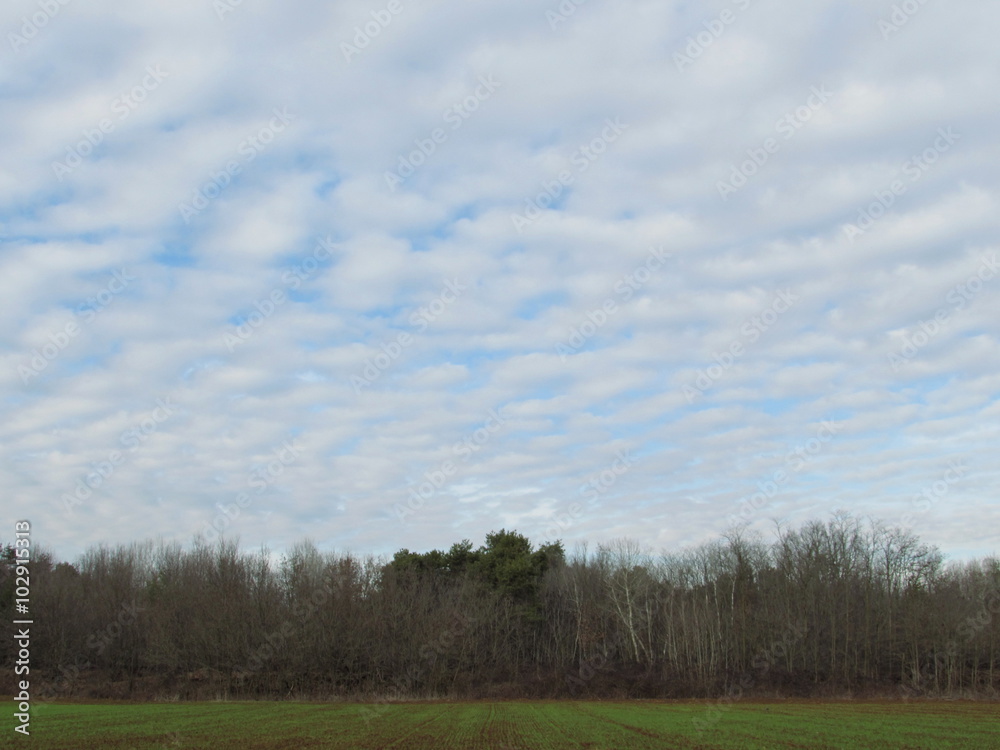 cielo a pecorelle... cielo a pecorelle...