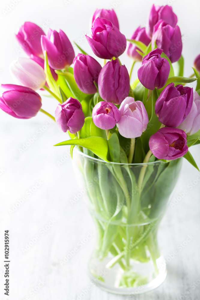 beautiful purple tulip flowers bouquet in vase