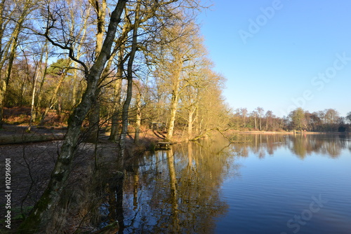  A lake at an English country estate in West Sussex England in Winter