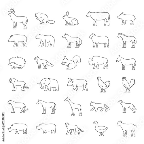Set of domestic and wild line animals on a white background.