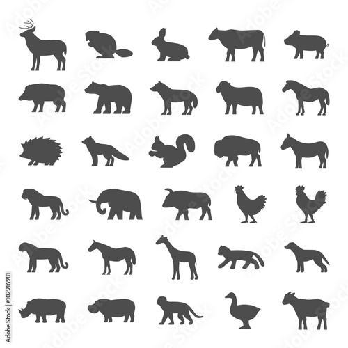 Set of domestic and wild animals on a white background.