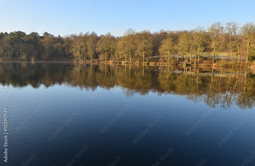 
A lake at an English country estate in West Sussex England in Winter